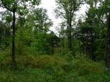 NBC shelter